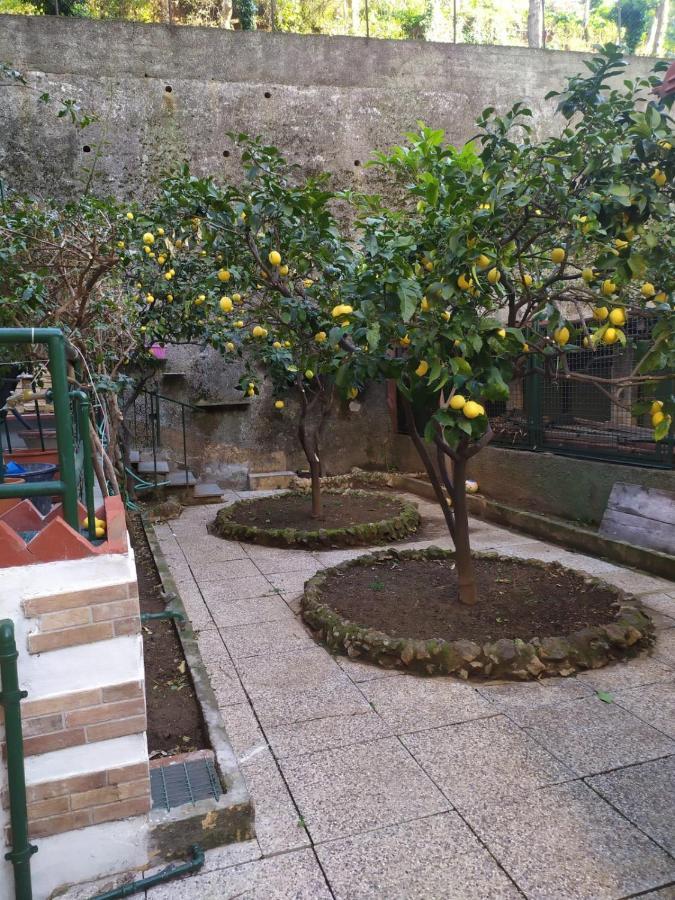 Oparavisegenova Dış mekan fotoğraf